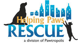 Helping Paws Rescue - a division of Pawtropolis